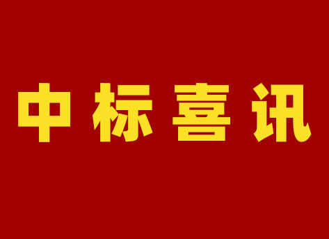 國網新疆電力有限公司2024年第二次配網物資協議庫存公開招標采購項目中標結果公告